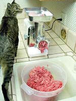 Making Cat Food